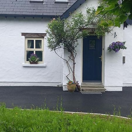 Cheerful Cottage Westport Exteriér fotografie